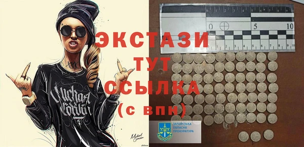 индика Бородино